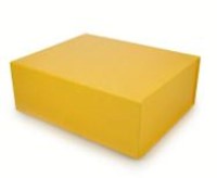 Custom Collapsible Boxes - 11