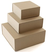 Natural Kraft Wrap Collapsible Boxes