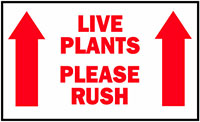 3 x 5 Inch (in) Size Red and White Shipping Label (ZZ-SCL-555)